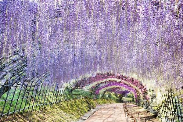 网络配图 网络配图