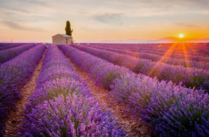 网络配图 网络配图