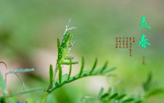 网络配图 网络配图