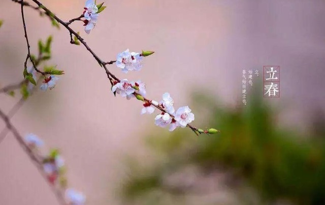 网络配图 网络配图