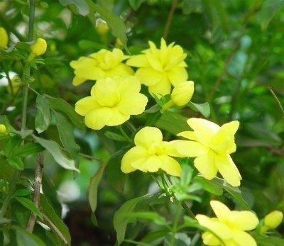 网络配图 网络配图