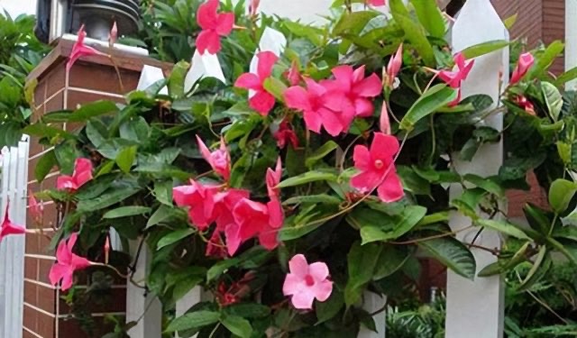 网络配图 网络配图