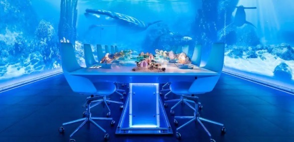 网络配图 网络配图