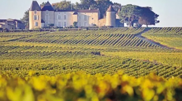 网络配图 网络配图