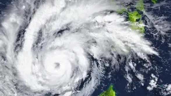 网络配图 网络配图