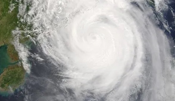 网络配图 网络配图