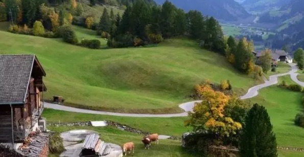 网络配图 网络配图