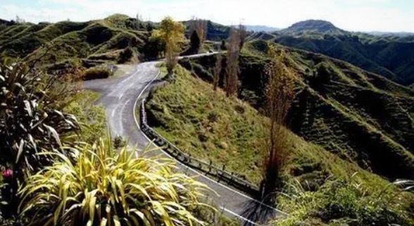 网络配图 网络配图