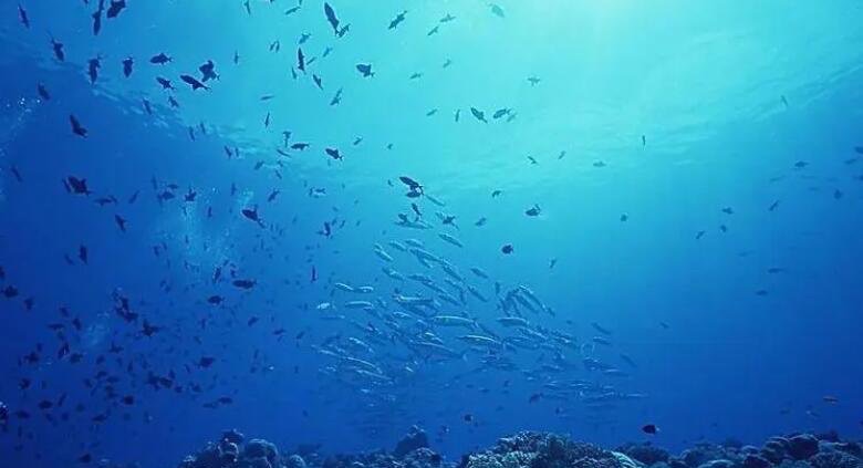 网络图片(侵删) 网络图片(侵删)