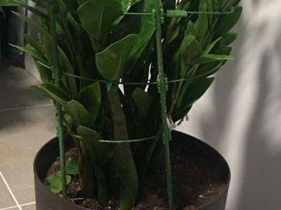 网络配图 网络配图