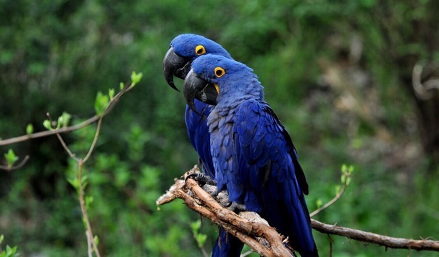 网络配图 网络配图