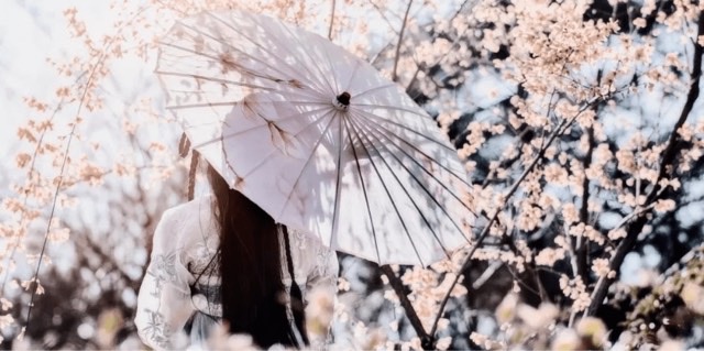 网络配图 网络配图