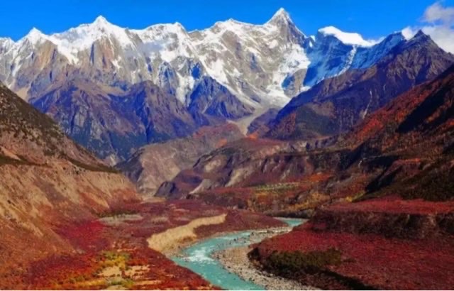 网络图片(侵删) 网络图片(侵删)