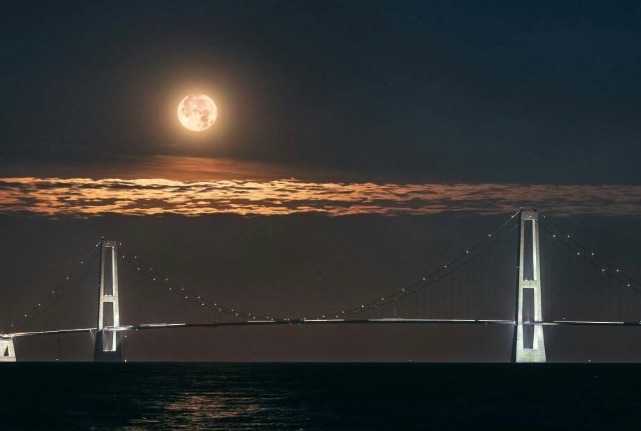 网络图片(侵删) 网络图片(侵删)