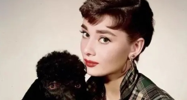 网络配图 网络配图