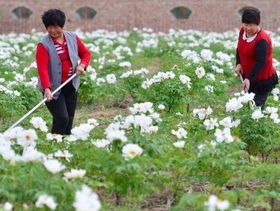 网络配图 网络配图