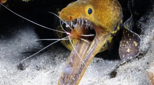 网络配图 网络配图