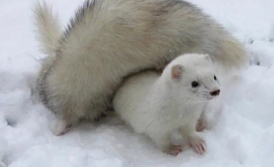 网络配图 网络配图