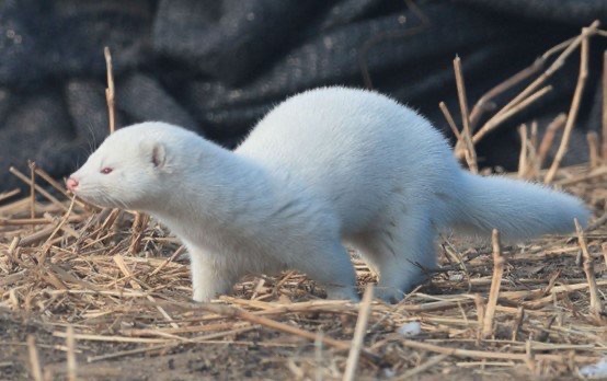 网络配图 网络配图