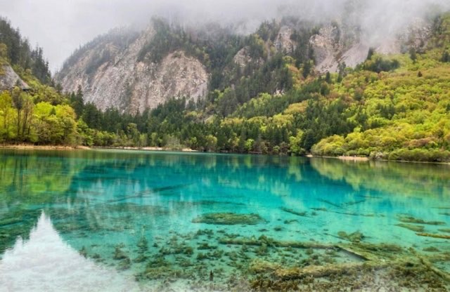 网络配图 网络配图