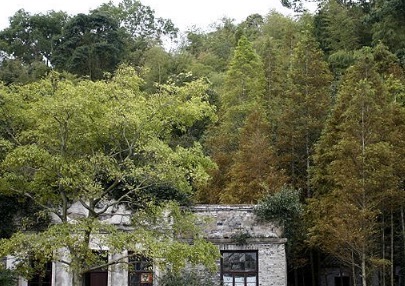 网络配图 网络配图