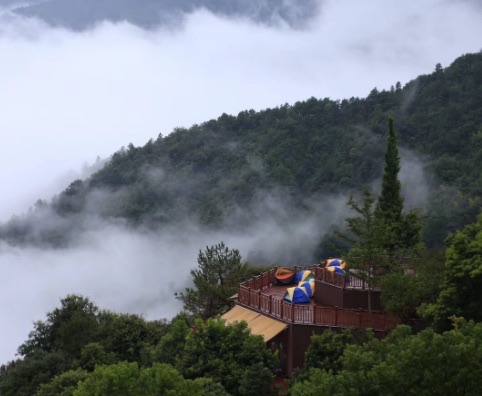 网络图片(侵删) 网络图片(侵删)