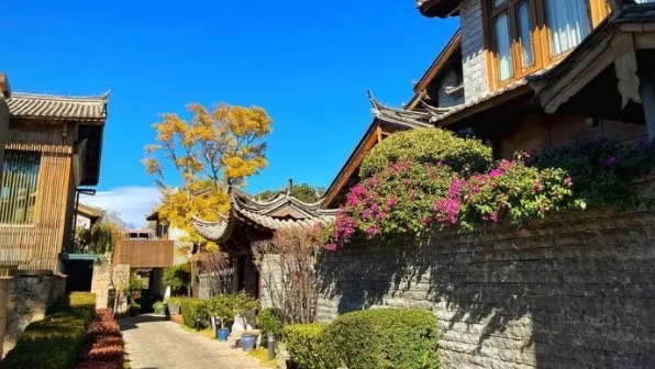 网络图片(侵删) 网络图片(侵删)