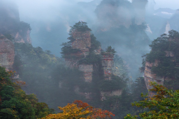 网络图片(侵删) 网络图片(侵删)