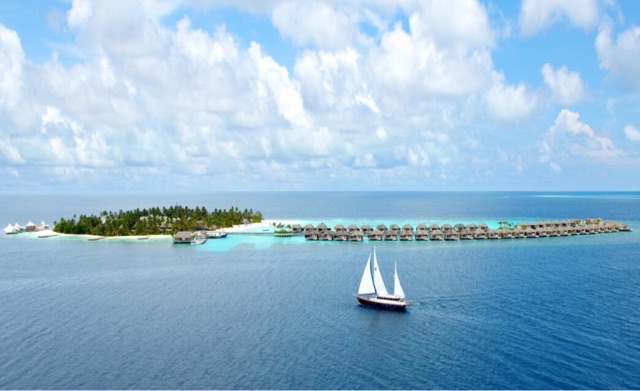 网络图片(侵删) 网络图片(侵删)