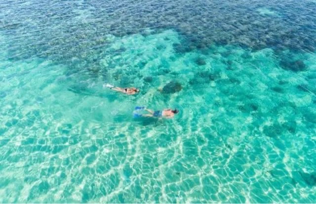 网络图片(侵删) 网络图片(侵删)