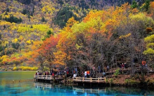 网络图片(侵删) 网络图片(侵删)