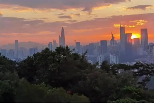 网络图片(侵删) 网络图片(侵删)