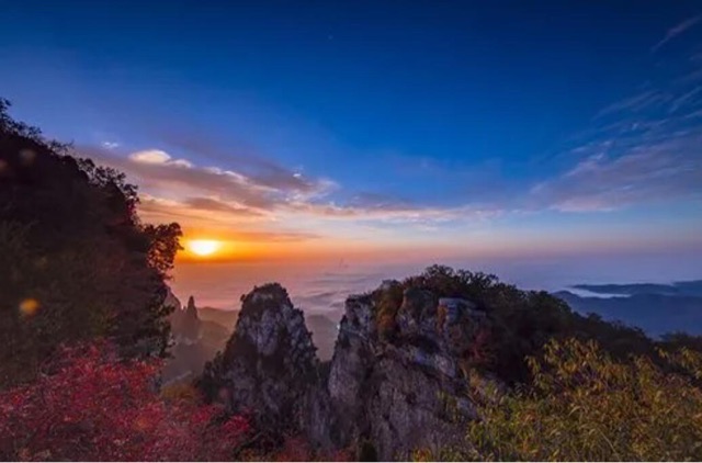 网络图片(侵删) 网络图片(侵删)