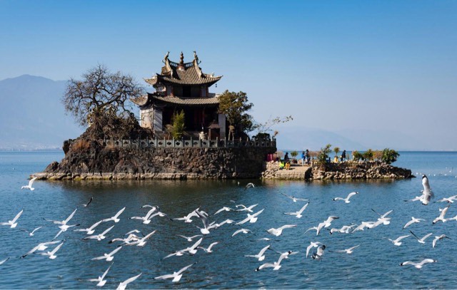 网络图片(侵删) 网络图片(侵删)