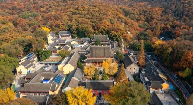 网络图片(侵删) 网络图片(侵删)