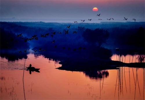 网络图片(侵删) 网络图片(侵删)