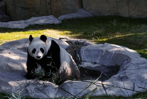 网络图片(侵删) 网络图片(侵删)