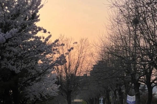 网络图片(侵删) 网络图片(侵删)