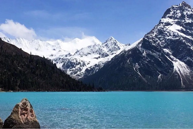 网络图片(侵删) 网络图片(侵删)