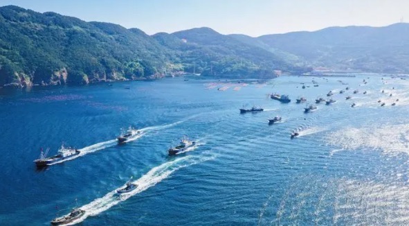 网络图片(侵删) 网络图片(侵删)