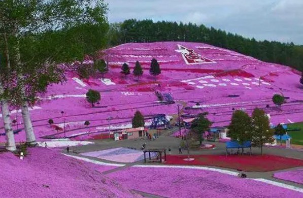 网络配图 网络配图