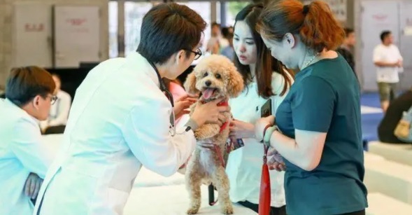 网络图片(侵删) 网络图片(侵删)