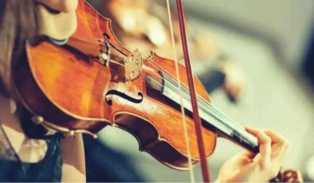 网络图片(侵删) 网络图片(侵删)