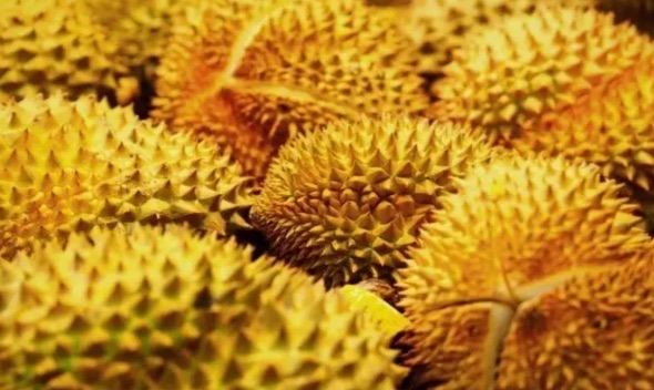 网络图片(侵删) 网络图片(侵删)