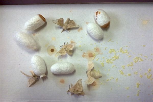 网络配图 网络配图