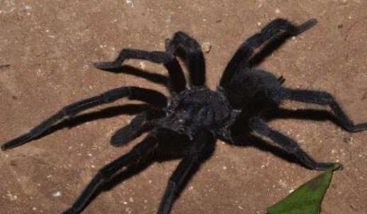 网络配图 网络配图