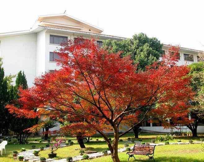 网络配图 网络配图