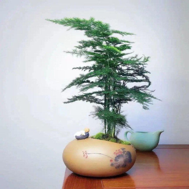 网络配图 网络配图