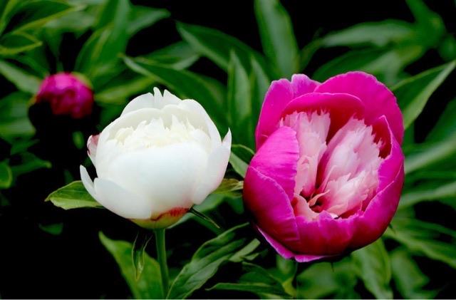 网络配图 网络配图