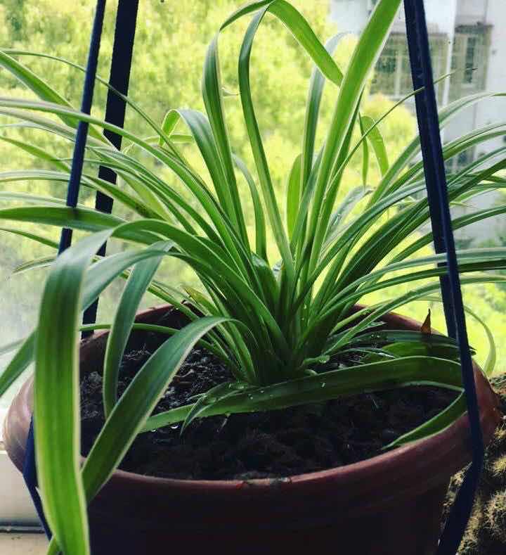 网络配图 网络配图